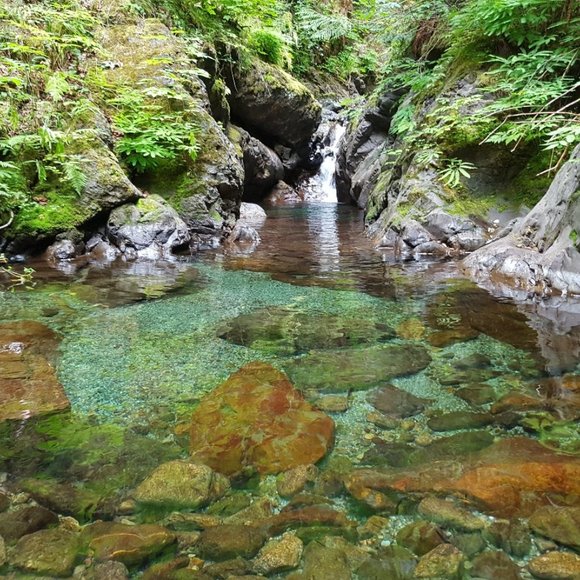 Infinite Love is the only Truth, every thing else is Illusion - Picture 8 of 13